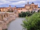 Cordoba y sus patios